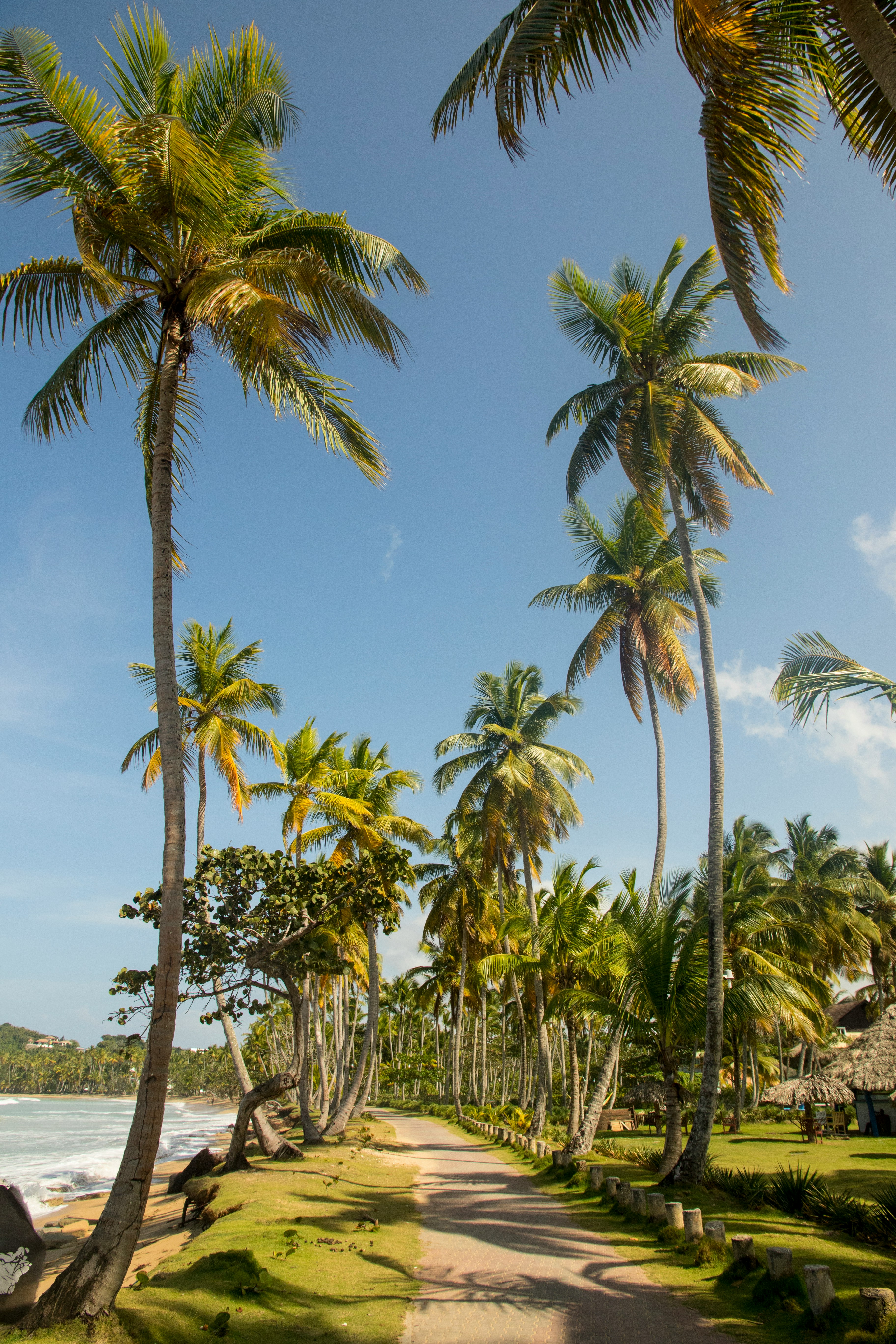 Tropical Pathway